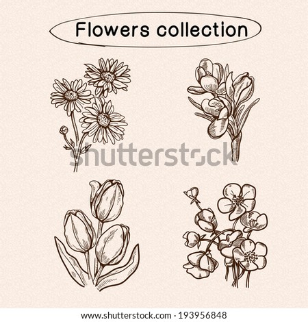 Flowers sketch elements. Hand drawn vintage style. Eps 10 vector illustration.