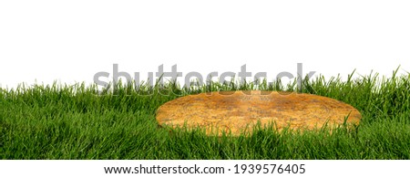 Close-up cut tree branch and grass on isolated white background