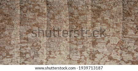 Abstract background,
Tree Trunk texture.
for graphic design, space for text.