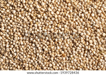 Quinoa seed background, macro view