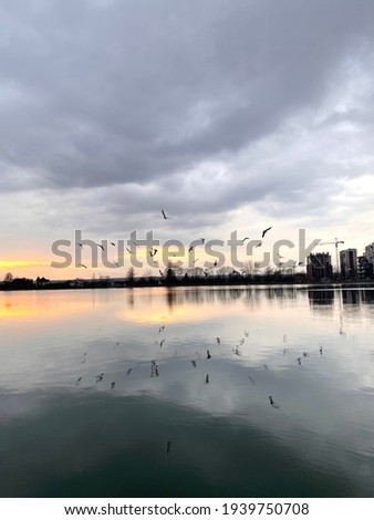 Sunset on the city lake in Ivano-Frankivsk