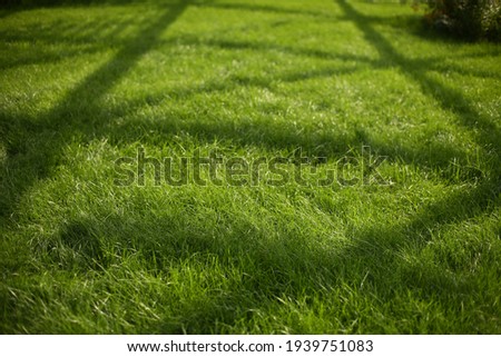 Green grass and shadow geometry