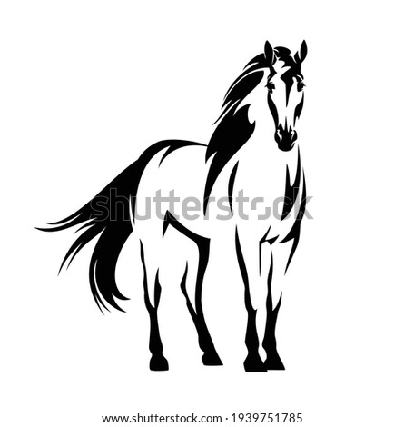 beautiful mustang horse with wind blown mane and tail - standing wild stallion black and white vector outline portrait