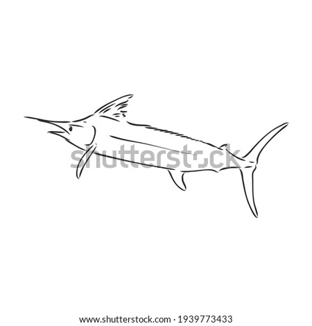Marlin, swordfish zentangle stylized, vector, illustration, freehand pencil, hand drawn, pattern.