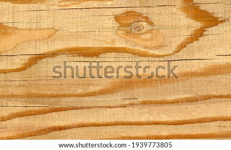 The texture of the parquet board in high resolution as a background.