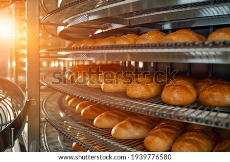 A lot of bread prepare to move on in the shelf. Bread bakery food factory production with fresh products. Automated production of bakery products. Royalty-Free Stock Photo #1939776580