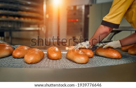 Bread bakery food factory production with fresh products. Automated production of bakery products. Baker man working at bread production line.