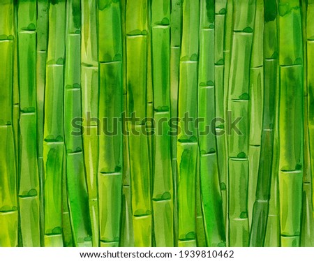 Green bamboo stems. Watercolor hand drawn  illustration . 