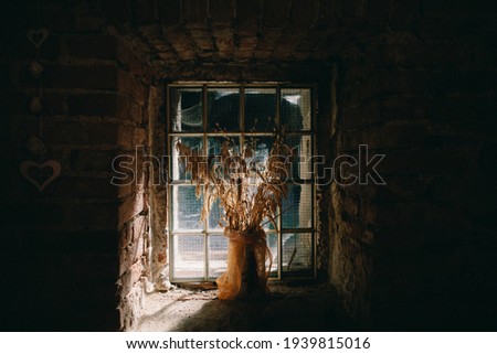 art photography for print, old dried ears of wheat, dried flowers in a vase by the window. Beautiful hard light, rustic style, brick wall with sun shadows