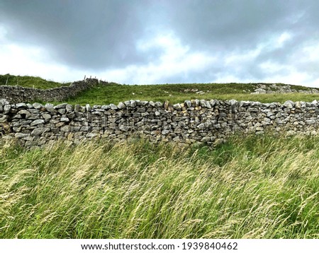 Long grasses, with a dry stone wall, and moorland, with heavy clouds in the Yorkshire Dales near, Skipton, Yorkshire, UK Royalty-Free Stock Photo #1939840462