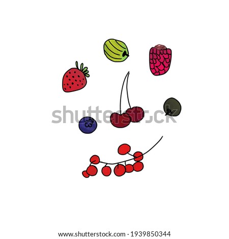 Set of berries colourful doodle sketch, such as raspberry, cherry, blueberry, strawberry