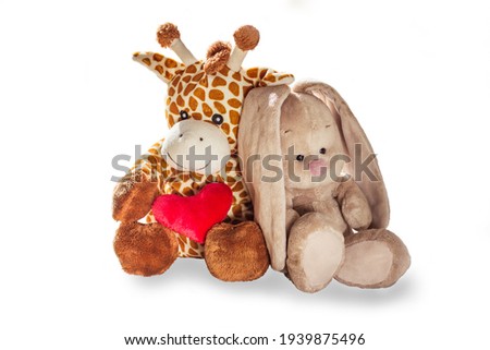 Plush toy giraffe and Bunny rabbit hold a red heart isolated on a white background Colorful plush toy. Colored stuffed toy-giraffe and Bunny. White and brown giraffe, grey rabbit
