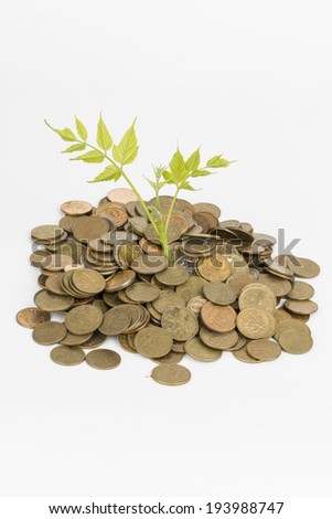 Green tree and coins 