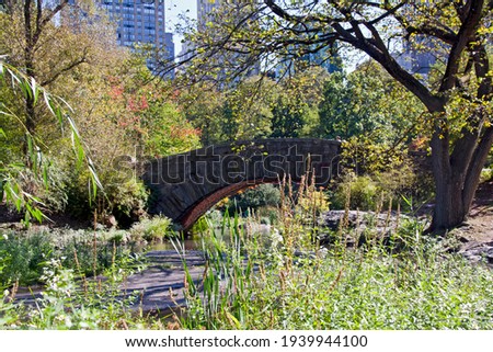 Landscape of a bridge in the middle of a large park