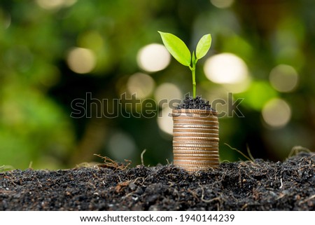 The coins are stacked on the ground and the seedlings are growing on top, the concept of saving money and financial and business growth.