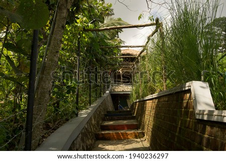 a staircase surrounded by tall grass