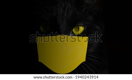 black cat wearing yellow medical mask