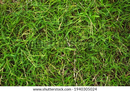 Abstract natural background. Collection with different colour tones of green grass, copy space. Summer fresh and football mood. For design wallpaper screensaver web backdrop