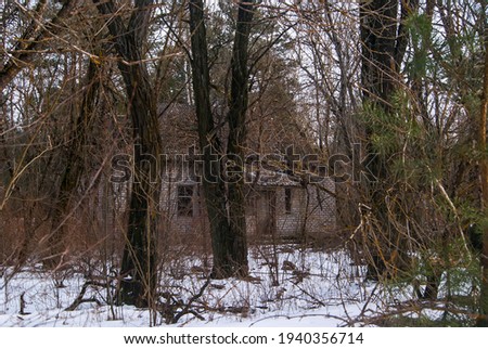Abandoned house in the exclusion zone. Close-up.