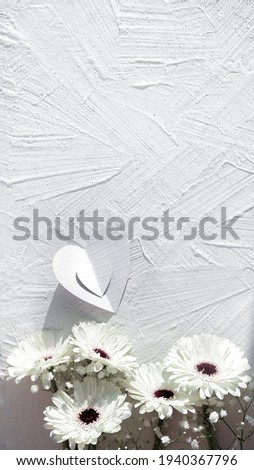 White gerberas on off white textured background with copy space, place for your text. Paper heart with shadows. Off white gerbera daisy natural fresh flowers. Panoramic vertical stories template.