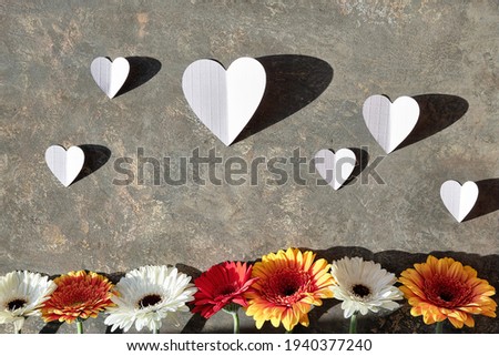 Orange and burgundy gerberas and white baby breath flowers on grey wood background. Flower arrangement, floral greeting card. Folded paper hearts with shadows.