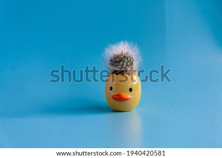 In a yellow ceramic stand in the form of a chicken head, a mammillaria cactus on a blue background. Easter.
