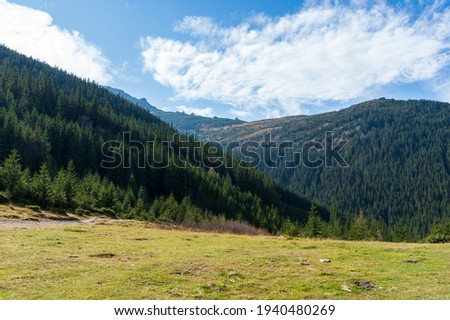 Forest and mountains. Clouds in the sky. Forest glade in the mountains. Daylight.