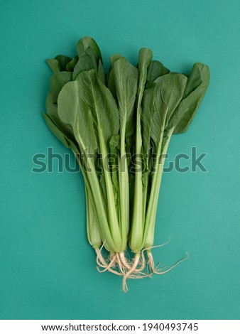 Japanese leafy vegetable named Komatsuna