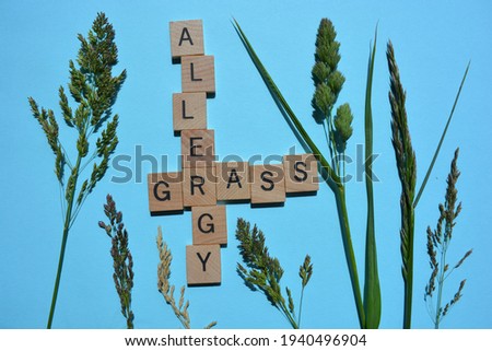 Grass Allergy, words in wooden alphabet letters with grass flower stalks isolated on blue