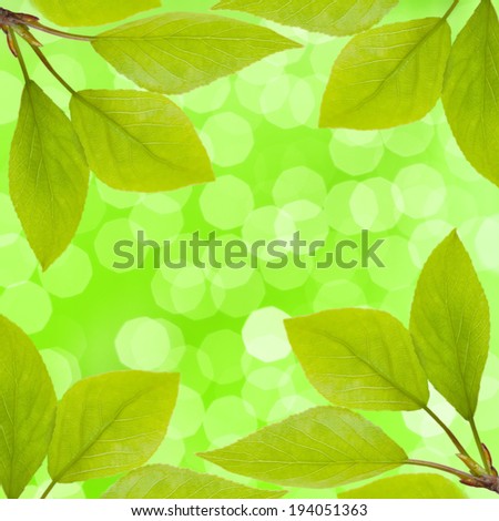 Natural green background with leaves