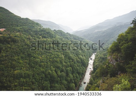 landscape with hills and green forest. High quality photo