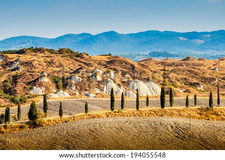 Country road and hills in Crete Senesi Tuscany  Royalty-Free Stock Photo #194055548