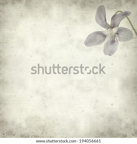 textured old paper background with wild violet