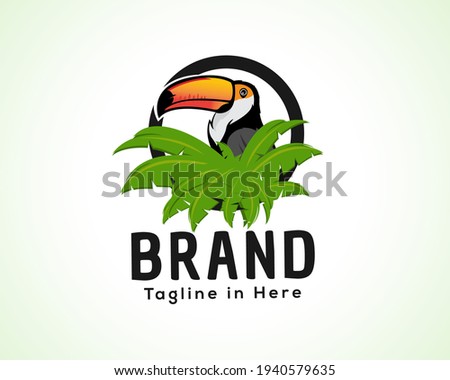 Toucan bird background nature circle frame logo icon symbol design illustration inspiration