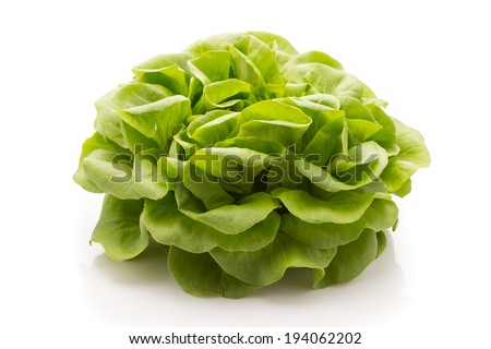 Salad on a white background. Studio picture.