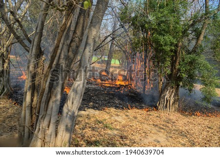 The forest fire was burning during the day of the day. Which causes toxic smog problems in Thailand The cause may be heat or villagers smuggling the forest to find forest products.