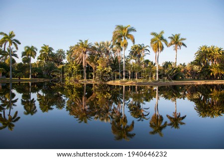 Scenic view of Fairchild Tropical Botanic Garden at sunset, Coral Gables, FL, USA Royalty-Free Stock Photo #1940646232