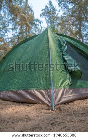 Tourism concept. Camping and tent under the poplar tree forest with beautiful sunlight in the morning. Man lives in the forest. Lonely tourist tent in the autumn forest. Self-isolation in nature.