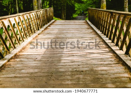 Landscape photo of wooden bridge path over the forest stream on sunrise spring morning. Beautiful sunny and calm scenic view on old wooden bridge. Sunshine toned scenic photo with copy space