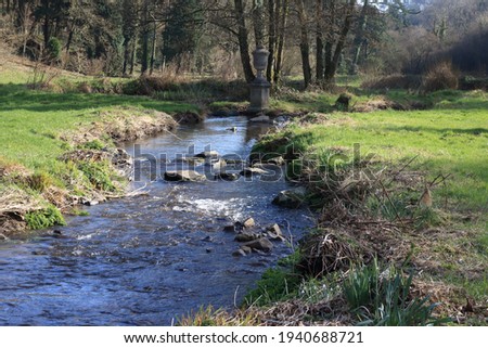 A stream running through a beautiful woodland park in west Wales, UK on a sunny Spring afternoon.