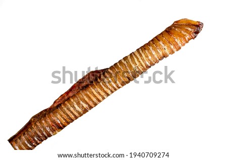 Dog treats. Natural healthy chewy treats for pets. Dried beef trachea king size, isolated on a white background. Royalty-Free Stock Photo #1940709274