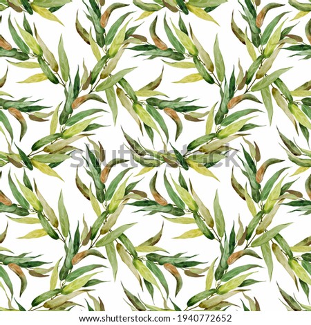 Abstract watercolor seamless pattern of branches and long eucalyptus leaves. Hand-painted eucalyptus branches and leaves isolated on a white background. Design, Textiles, fabric, wallpaper, wrappers