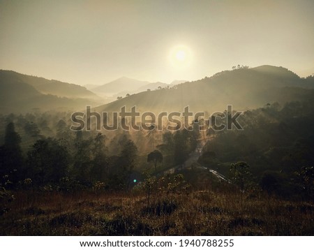 Mountains and forest basked with the sun's light and morning mist