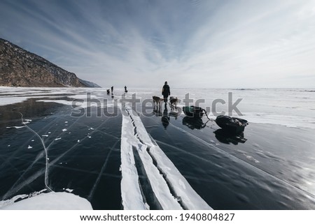 Walking woman and sled dogs pulling sleigh during  winter hike along frozen Lake Baikal