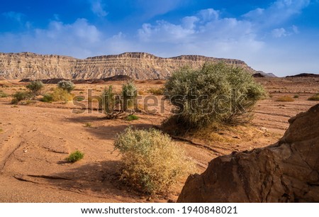 Desert bushes in the Ein Saharonim valley, the deepest point of the Makhtesh Ramon - largest erosion crater in the Negev desert, Israel Royalty-Free Stock Photo #1940848021