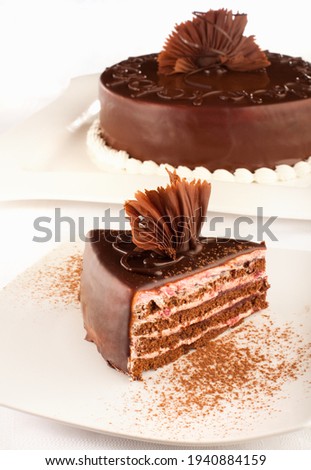 A styled Chocolate cake and a piece of that cake in front of it.