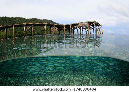 Half and half waterline split level of a wooden jetty on a tropical island. Underwater image taken on scuba diving trip in Raja Ampat, Indonsia