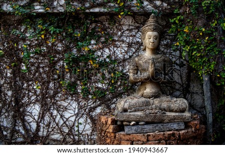 Buddhism for statues or models of the Buddha portrait with soft-focus and over light in the background