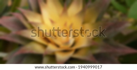 The pineapple spigot was focused On top among a garden, with A yellow mid-leave on blurred background, Abstract bokeh picture concept.