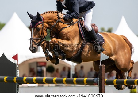 Horse Jumping, Equestrian Sports, Show Jumping themed photo. Royalty-Free Stock Photo #1941000670